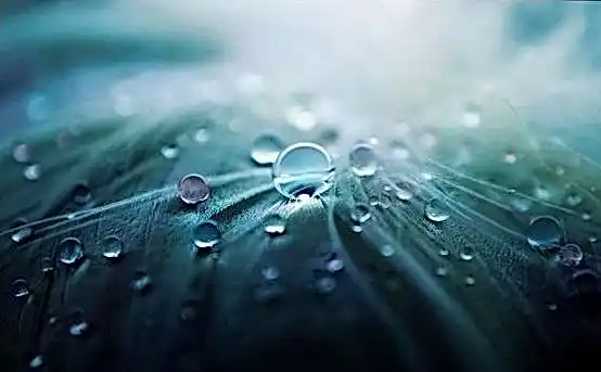 Arkada online ccf3f7